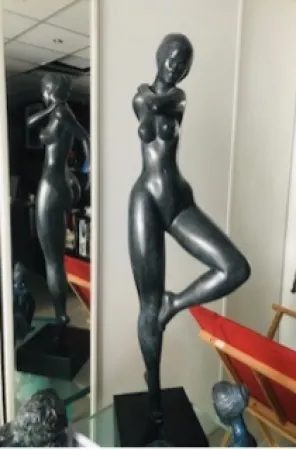 Keine Technische Laniau - Hirondelle