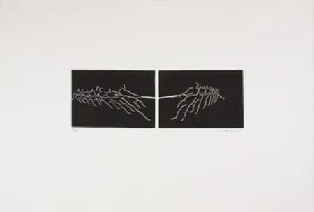 Linolschnitt Larregui - TIR A LA CORDE