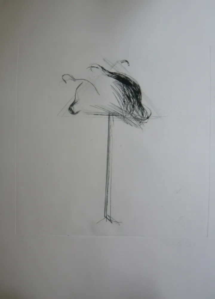 Stich Lataster - Sans titre