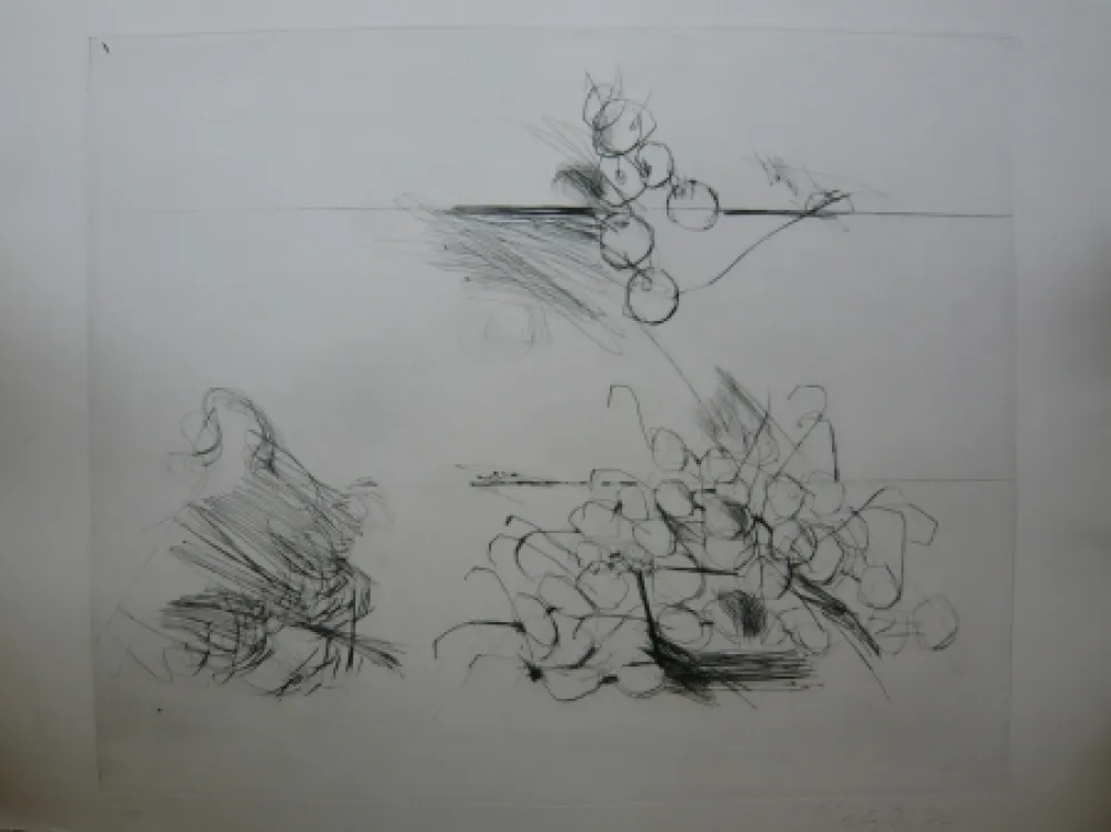 Stich Lataster - Sans titre