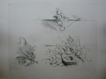 Stich Lataster - Sans titre