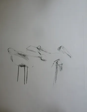 Stich Lataster - Sans titre