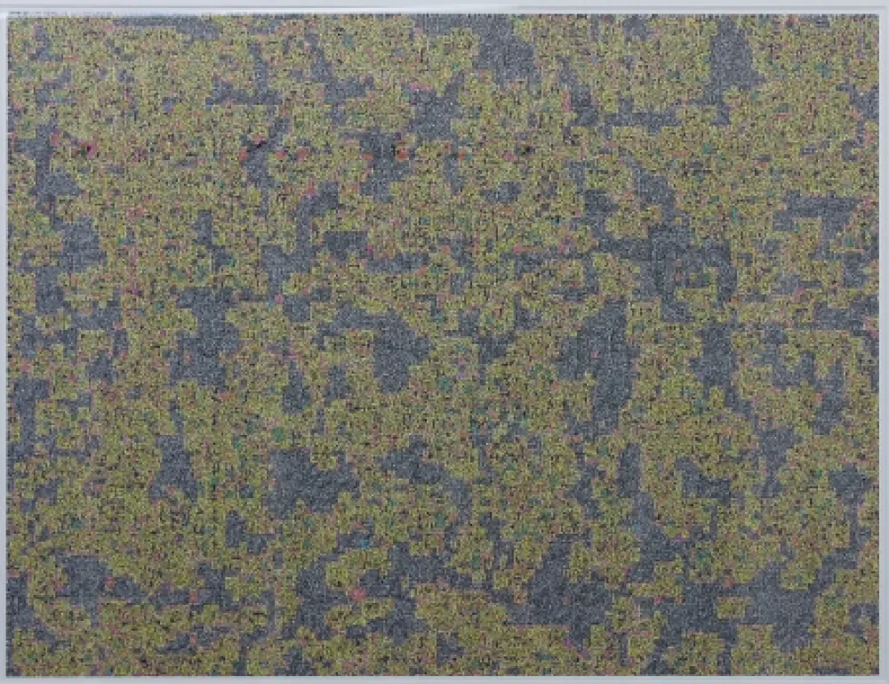 Digitale Druckgrafik Leherpeur - Compression ADS 2