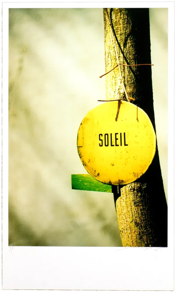 Digitale Druckgrafik Leick - Greffes et greffons, II