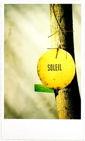 Digitale Druckgrafik Leick - Greffes et greffons, II