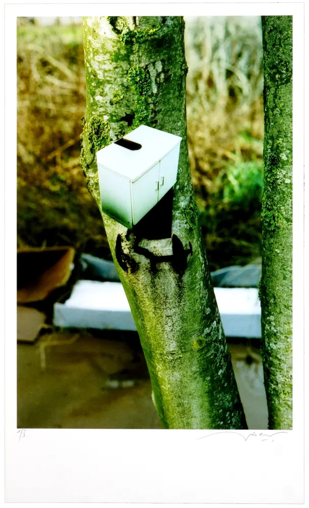 Digitale Druckgrafik Leick - Greffes et greffons III