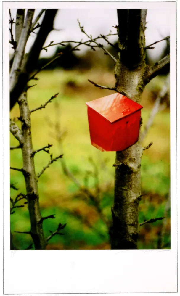 Digitale Druckgrafik Leick - Greffes et greffons IV