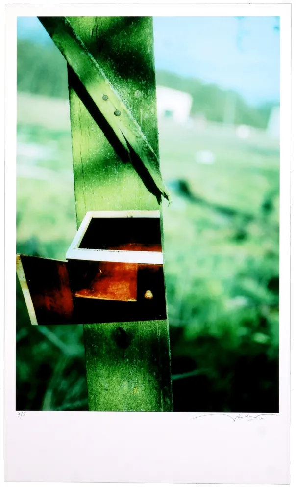 Digitale Druckgrafik Leick - Greffes et greffons VI