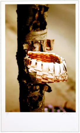 Digitale Druckgrafik Leick - Greffes et greffons VIII