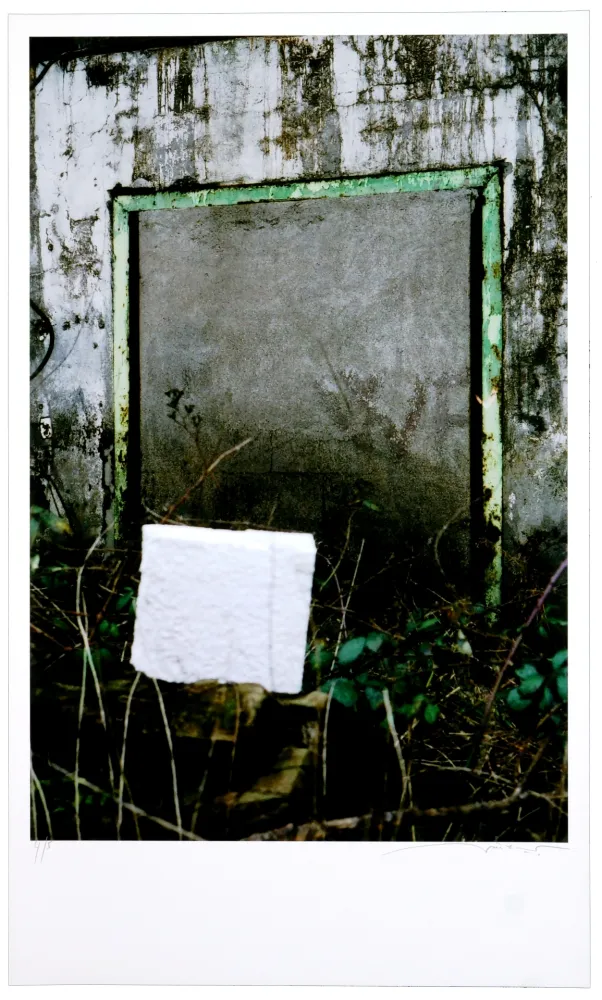 Digitale Druckgrafik Leick - Greffes et greffons VIII