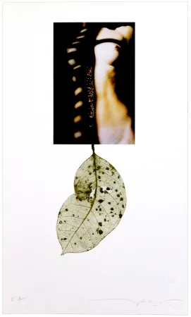 Digitale Druckgrafik Leick - Sans titre I