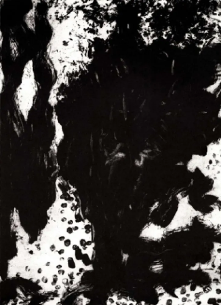 Stich León - Luz de luna II