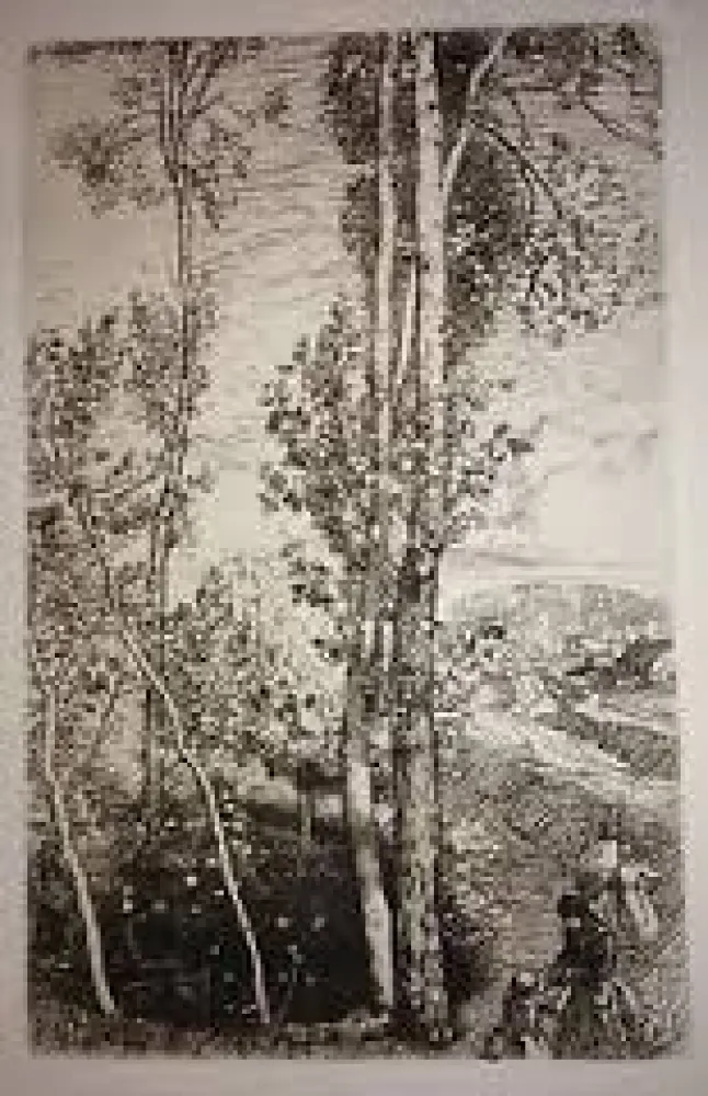 Stich Lepere - La petite mare