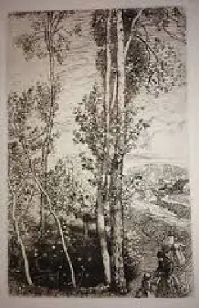 Stich Lepere - La petite mare