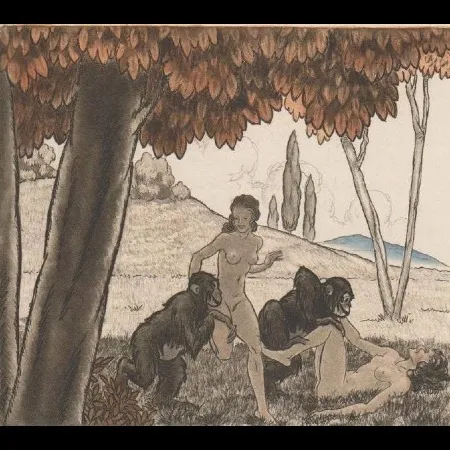 Illustriertes Buch Leroy  - Candide, ou l'optimisme