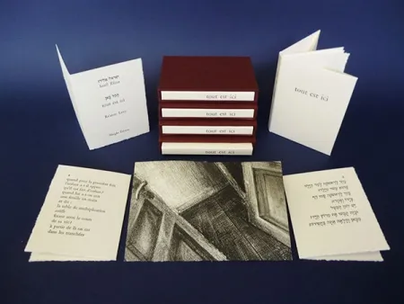 Illustriertes Buch Levy - Tout est ici