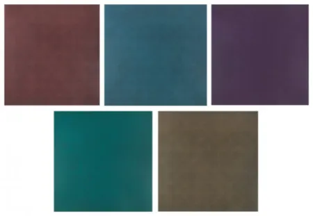 Multiple Lewitt - Black lines in Four Directions on Colors