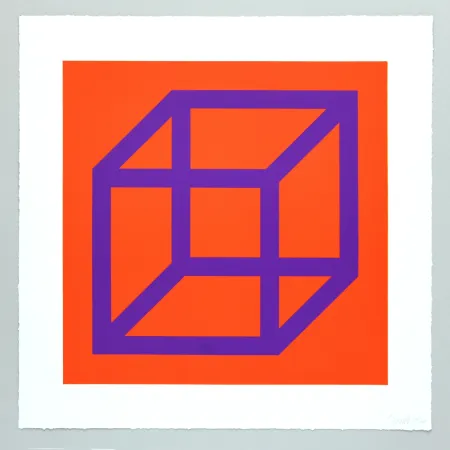 Keine Technische Lewitt - Open Cube in Color on Color Plate 29
