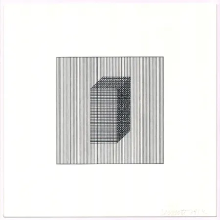 Siebdruck Lewitt - Twelve Forms Derived from a Cube (Set of 48) (3)