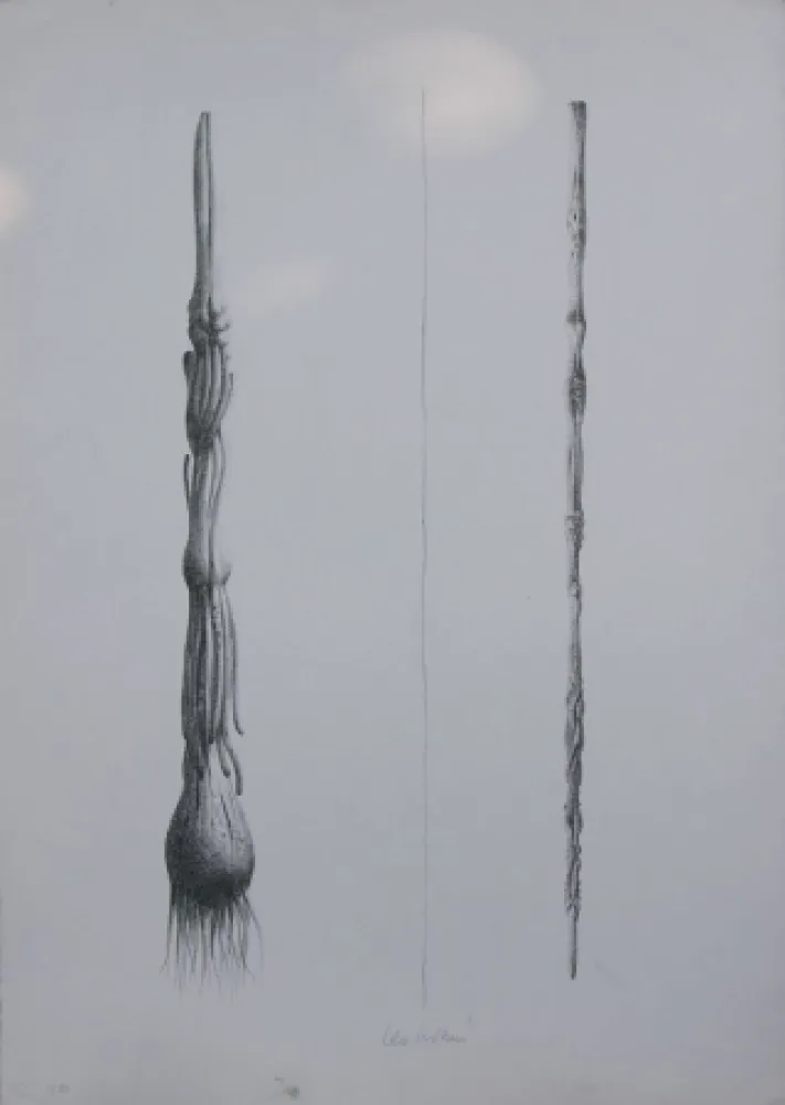 Lithographie Lionni - Due Solee