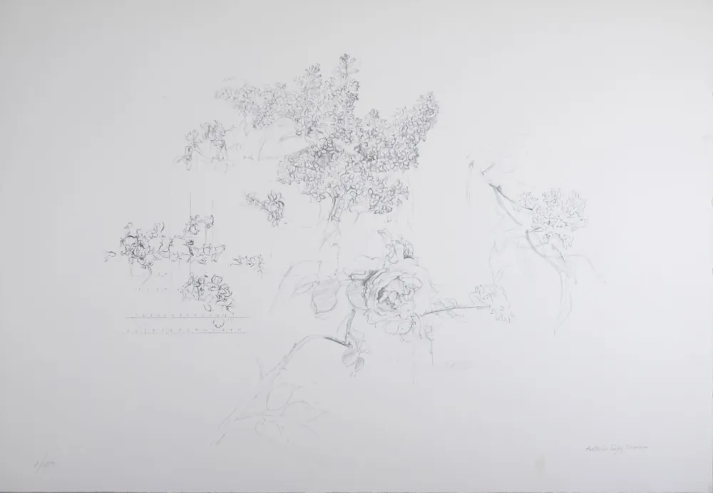 Lithographie López Garcia - Composition