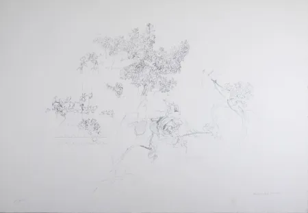 Lithographie López Garcia - Composition