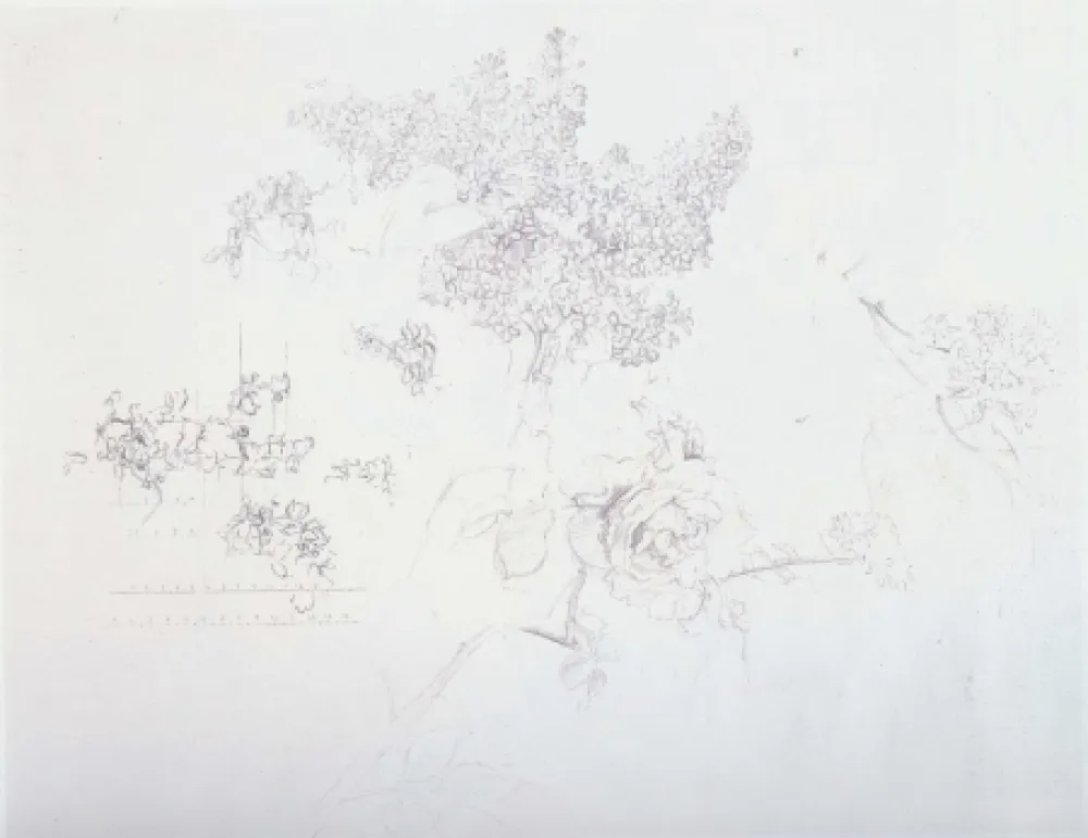 Lithographie Lopez - Olympic Centennial