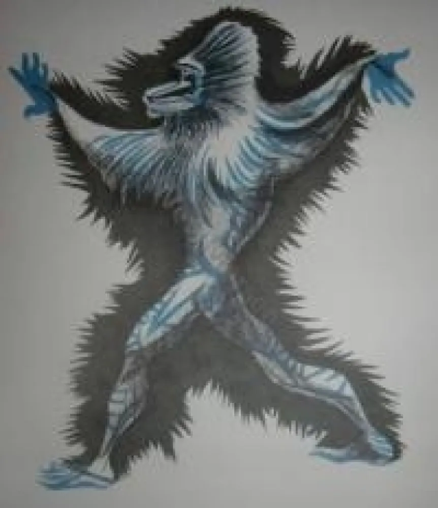 Illustriertes Buch Lurcat - Géographie animale