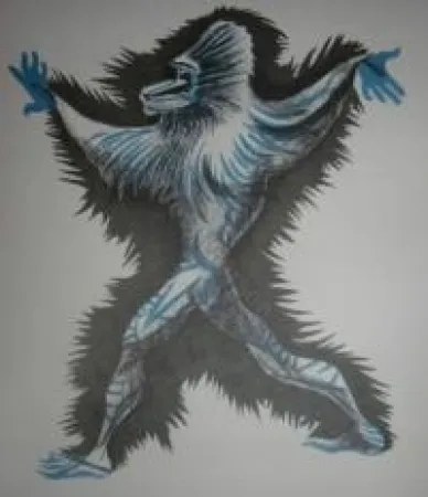 Illustriertes Buch Lurcat - Géographie animale