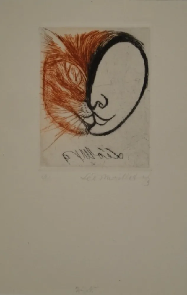 Illustriertes Buch Maillet - Léo Maillet Peintre-Graveur