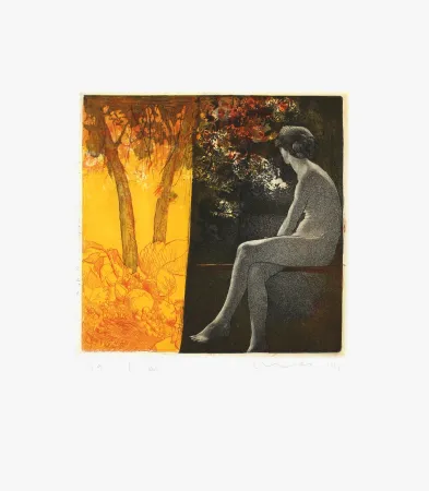 Radierung Mair - Ombracule