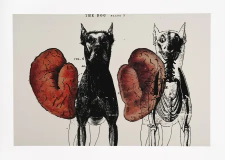 Digitale Druckgrafik Malani - Stress of recall (The)