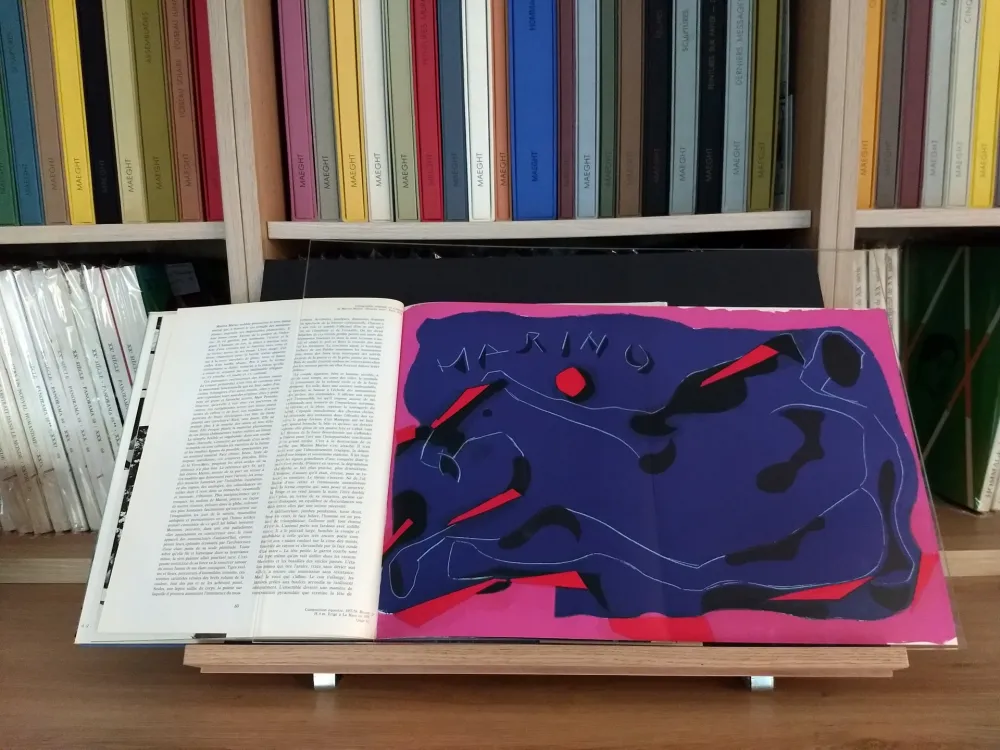 Illustriertes Buch Marini - Hommage