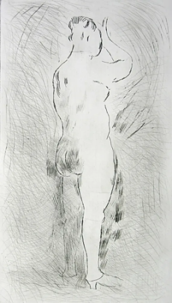 Stich Marini - Pomona