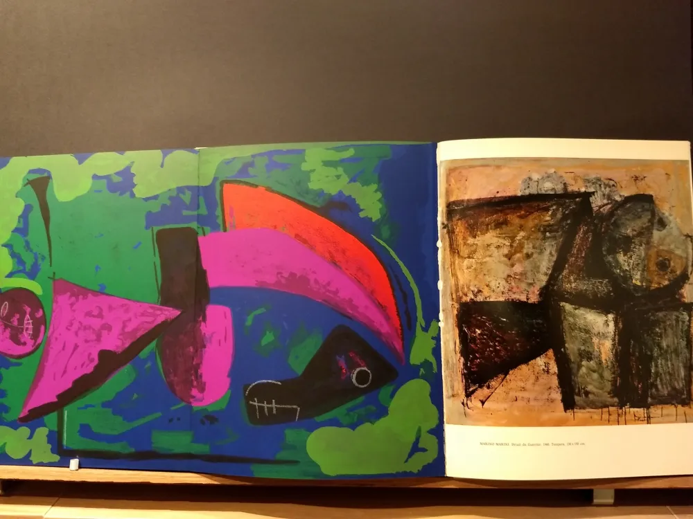 Illustriertes Buch Marini - Xxe No 30