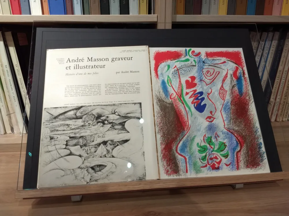 Illustriertes Buch Masson - No 38