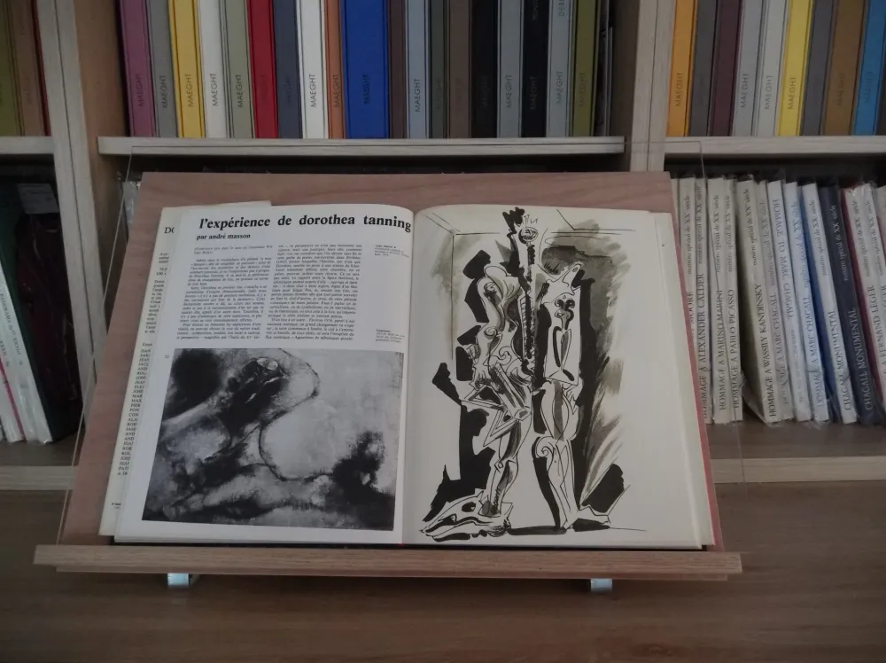 Illustriertes Buch Masson - Xxe Tanning