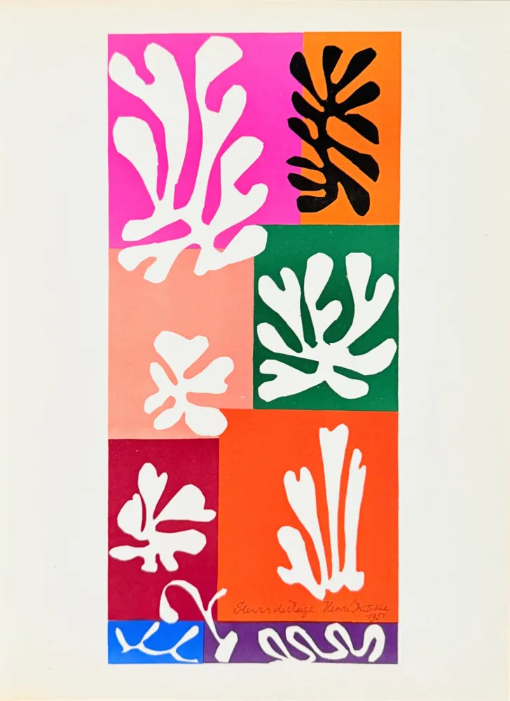 Lithographie Matisse - Fleurs de Neige