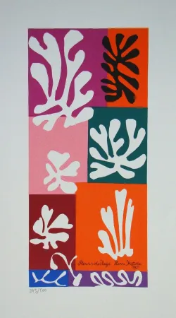 Siebdruck Matisse - Fleurs de Neige, 1951