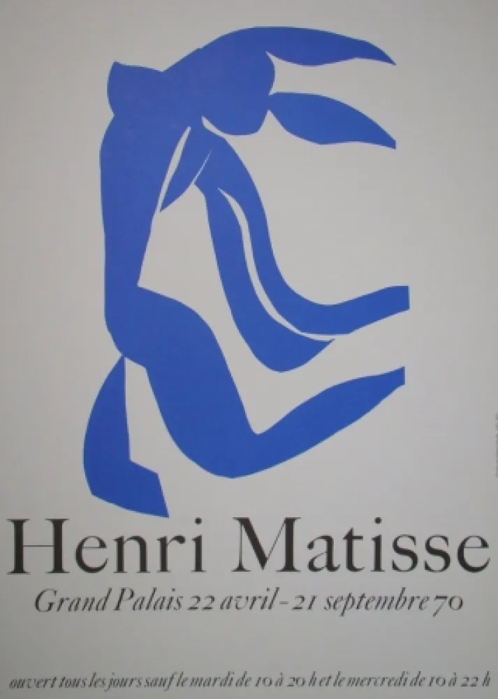 Plakat Matisse - La Chevelure - Grand Palais