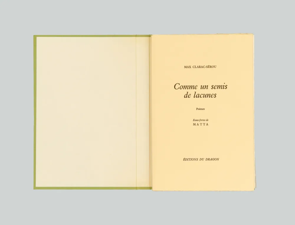 Stich Matta - Comme un semis de lacunes