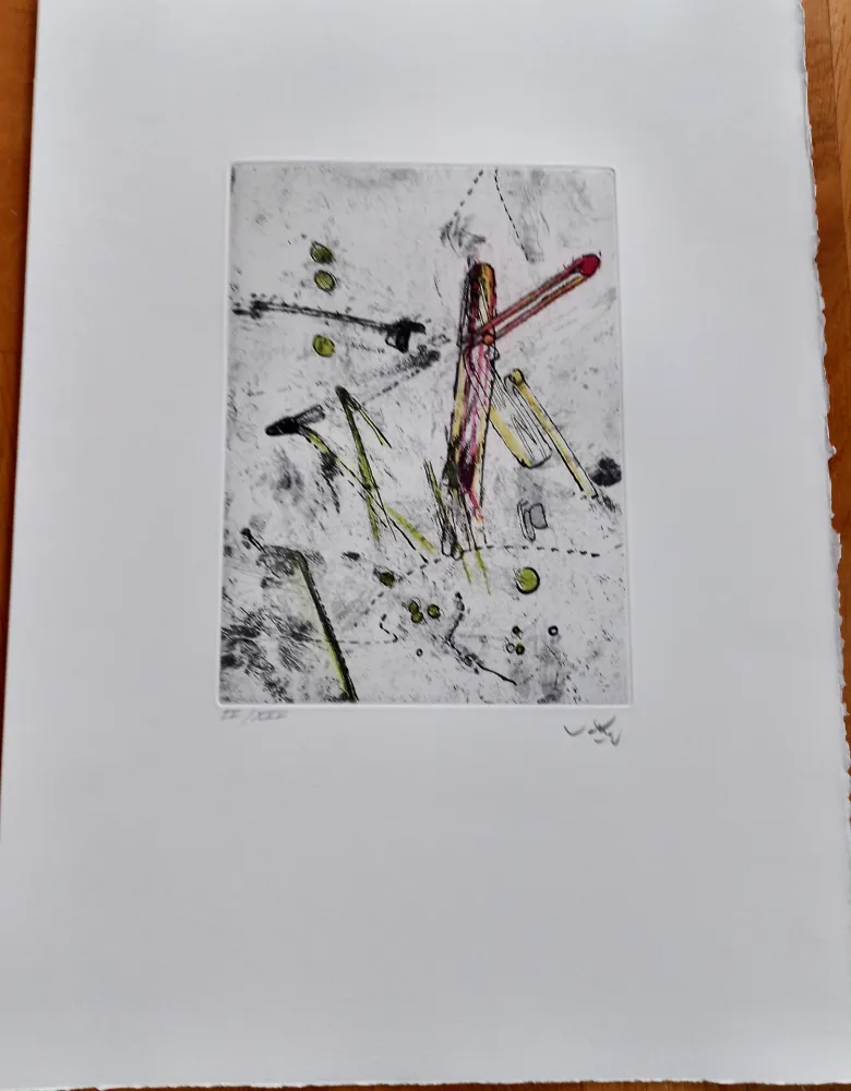 Stich Matta - Droites Liberees, plate I