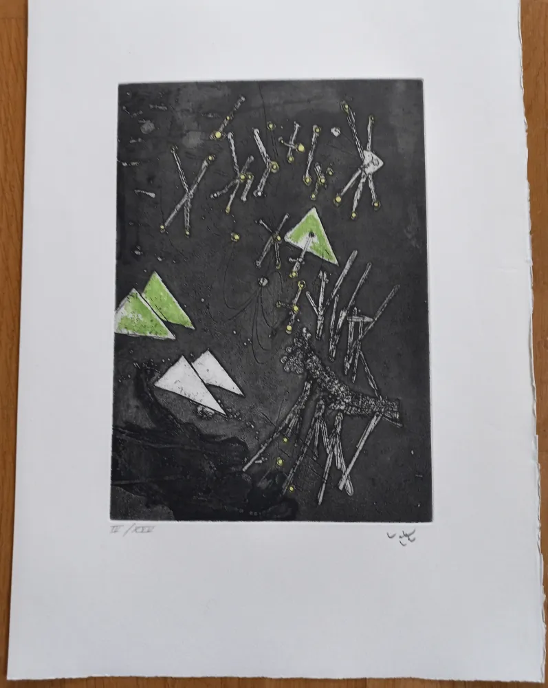 Stich Matta - Droites Liberees, plate XI