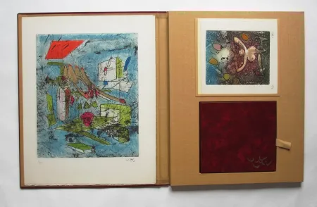 Illustriertes Buch Matta - L'oeuvre gravé