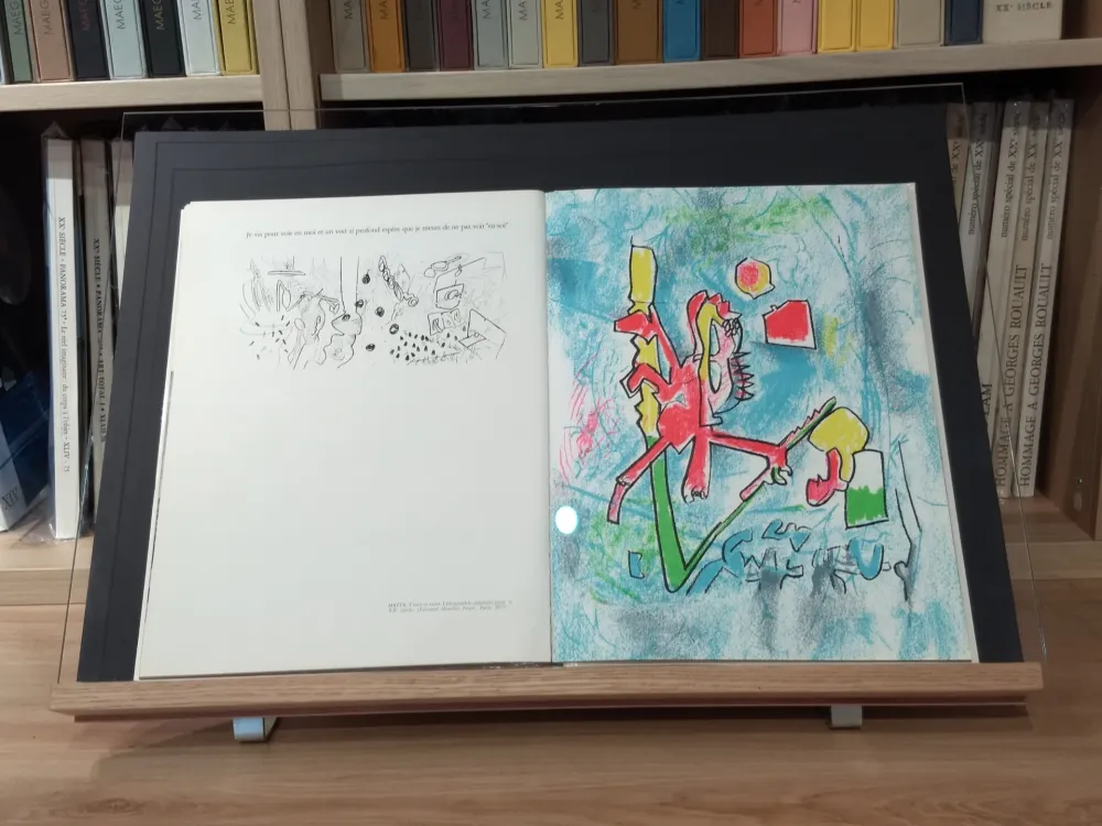 Illustriertes Buch Matta - No 45