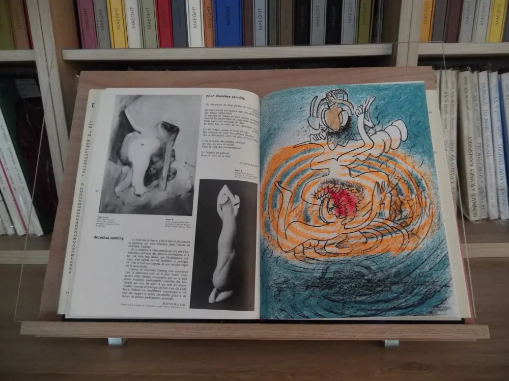 Illustriertes Buch Matta - Xxe Tanning