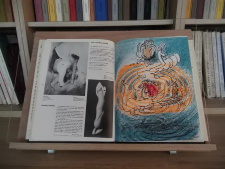 Illustriertes Buch Matta - Xxe Tanning