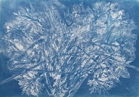 Radierung Und Aquatinta Messagier -  Machine à Printemps 