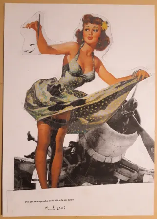 Keine Technische Metras - PIN UP se engancha en la helice de mi avión