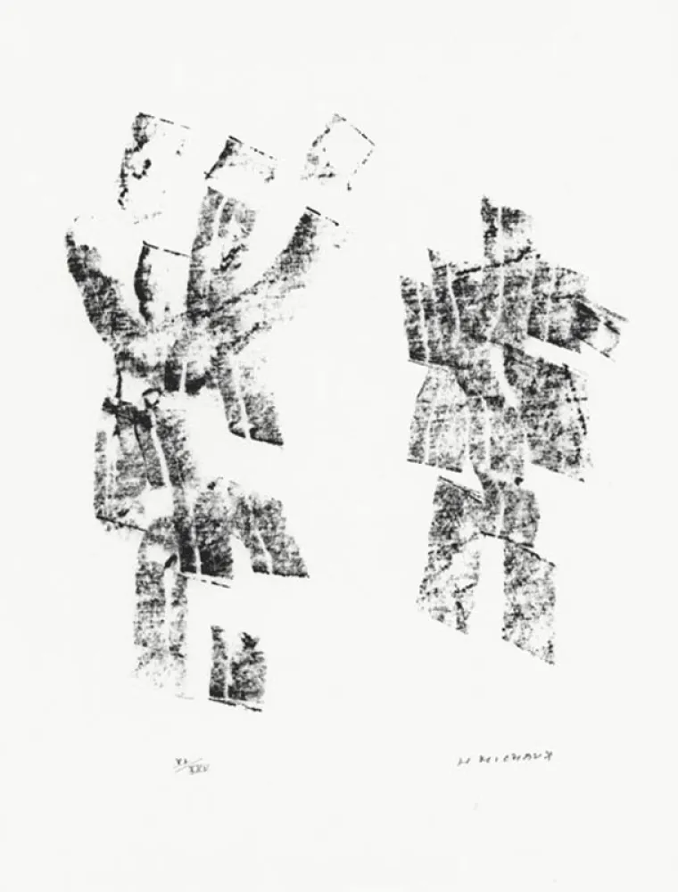 Illustriertes Buch Michaux - Décisive pliure du ciel